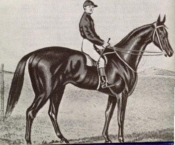 Archer, the inaugural winner of the Melbourne Cup